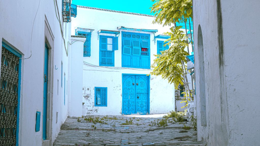Sidi Bou Said blue-and-white village near Tunis — private guided tour landmark