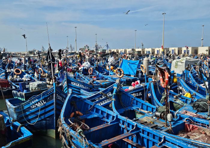 Blue fishing boats and seagulls in the harbour of Essaouira below the ramparts