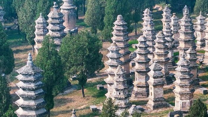 The Pagoda Forest of stone tombs at the Shaolin Temple on Mount Song, Henan