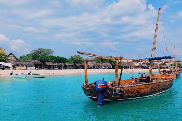 Dolphin Tour at Mnemba Island
